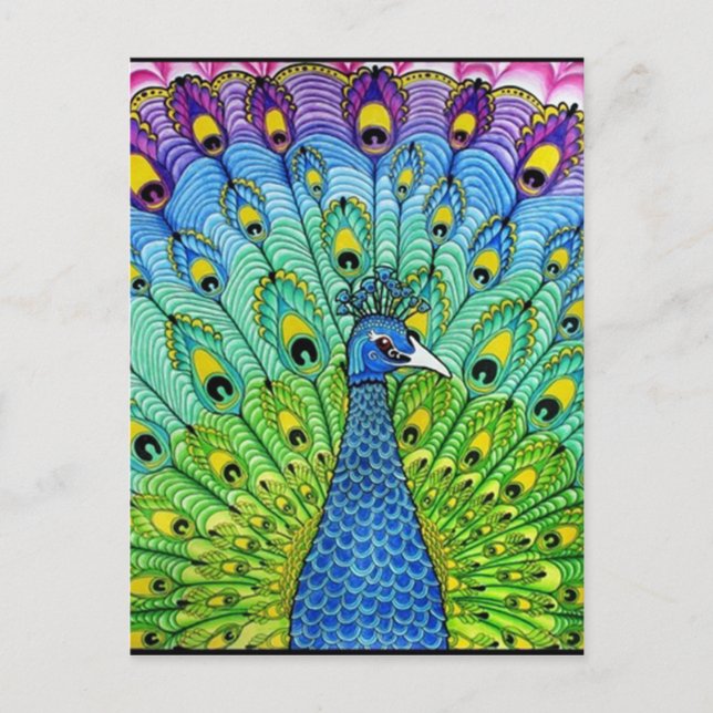 Cartão Postal Animação de pássaros-pavão (Frente)
