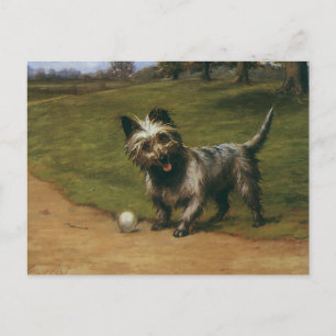 Cartão Postal Animais Antigos Cães, Cachorrinho Fofo do Terrier 