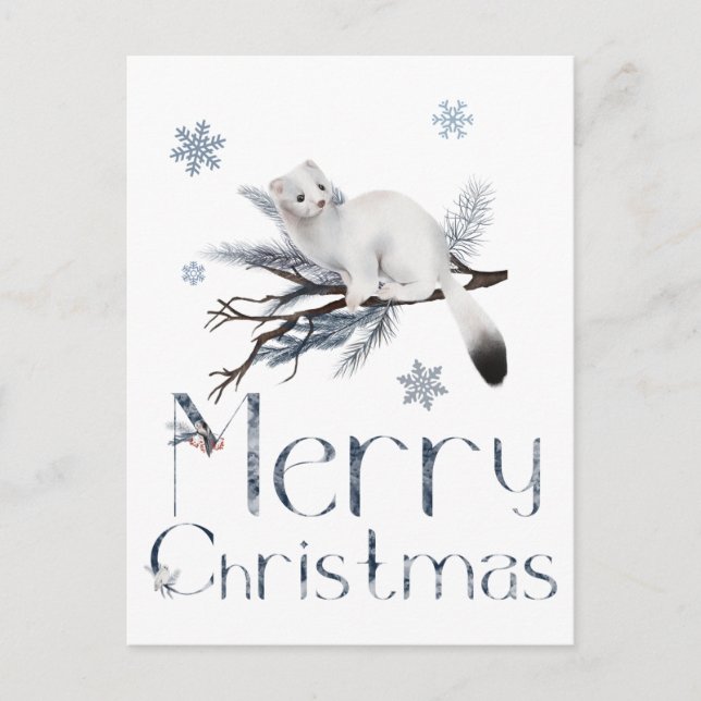 Cartão Postal Animais Armiño Fofo Em Uma Árvore De Pinho (Frente)