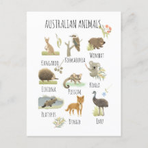 Animais australianos