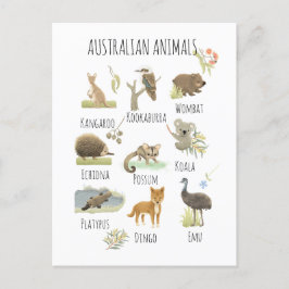 Cartão Postal Animais australianos