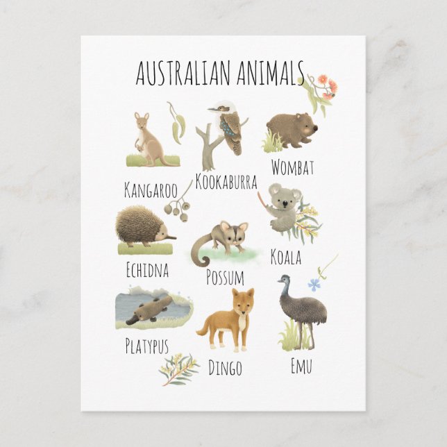 Cartão Postal Animais australianos (Frente)