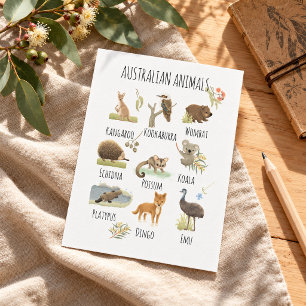 Cartão Postal Animais Australianos 