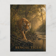 Animais da Floresta Sal do Tigre-de-bengala