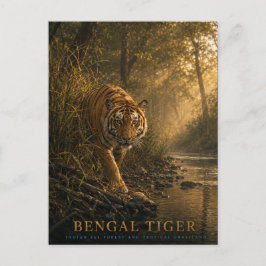 Cartão Postal Animais da Floresta Sal do Tigre-de-bengala