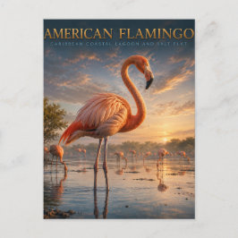 Cartão Postal Animais da Lagoa Costeira do Flamingo Americano