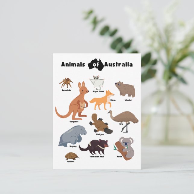 Cartão Postal Animais da Vida Selvagem Aussie da Austrália (Em pé/Frente)