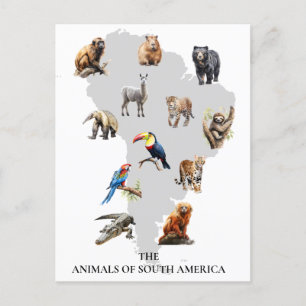 Cartão Postal Animais da Vida Selvagem da América do Sul