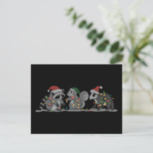 Cartão Postal Animais de Natal Papai Noel Esquilo Gambá Racoon B