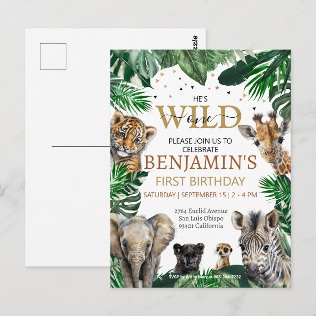 Cartão Postal Animais de Safari no Festa de Aniversário na Selva (Frente/Verso)