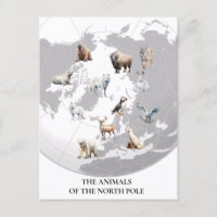 Animais do Ártico do Polo Norte