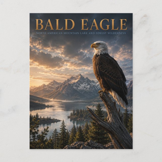 Cartão Postal Animais do Lago Bald Eagle Mountain (Frente)
