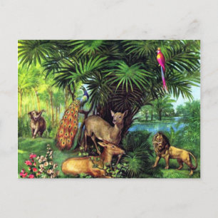 Cartão Postal Animais do vintage