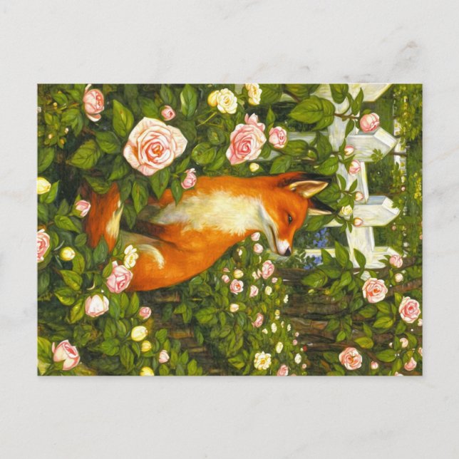 Cartão Postal Animais dos Apalaches  (Frente)