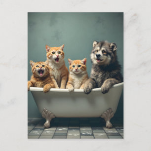 Cartão Postal Animais engraçados na banheira