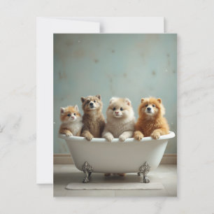 Cartão Postal Animais engraçados na banheira