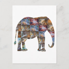 Cartão Postal Animais Majestosos e Amigáveis: Azulejos de Mármor