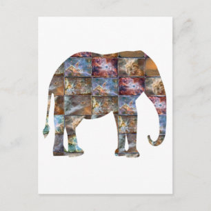 Cartão Postal Animais Majestosos e Amigáveis: Azulejos de Mármor