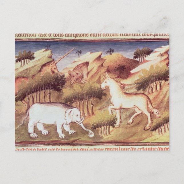 Cartão Postal Animais míticos na natureza (Frente)