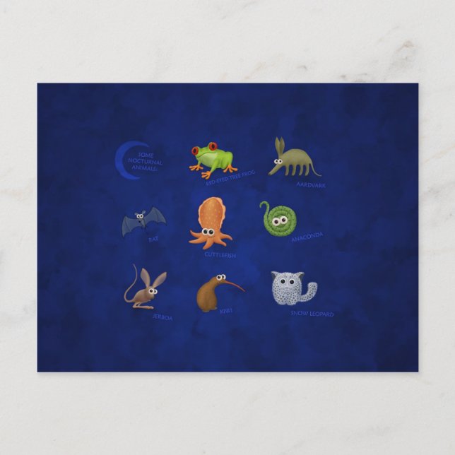 Cartão Postal Animais Noturnos (Frente)