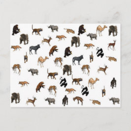 Cartão Postal Animais Selvagens