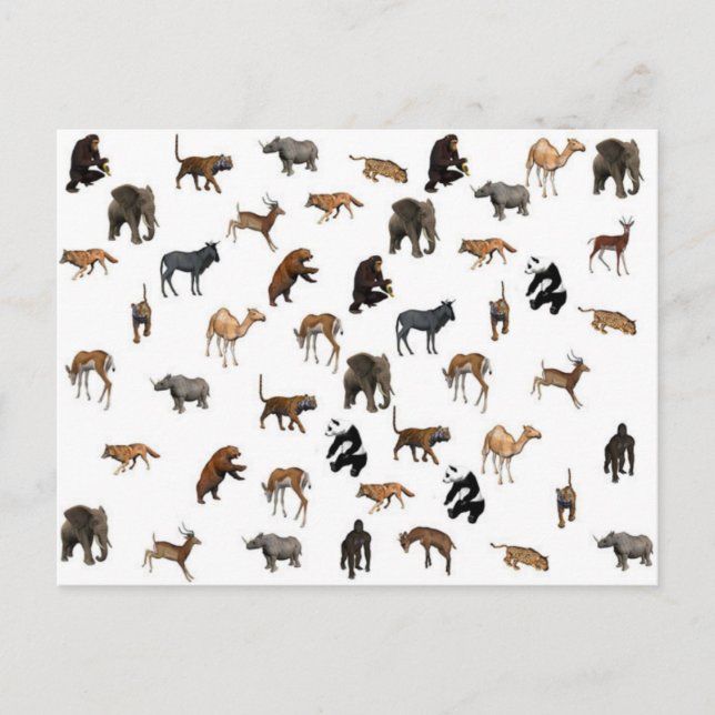 Cartão Postal Animais Selvagens (Frente)