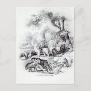 Cartão Postal Animais Selvagens de "Uma História da Terra