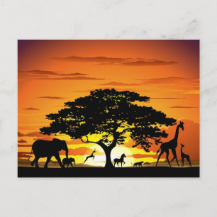 Cartão Postal Animais Selvagens no Pôr do Sol da Savana Africana