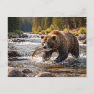 Cartão Postal Animais Selvagens Urso Pardo Apanhando Peixes