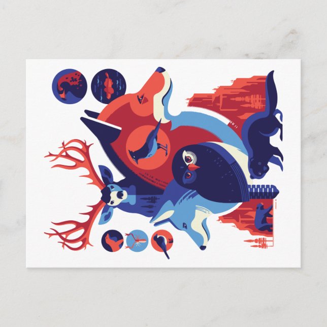 Cartão Postal Animais Selvagens V.06 (Frente)