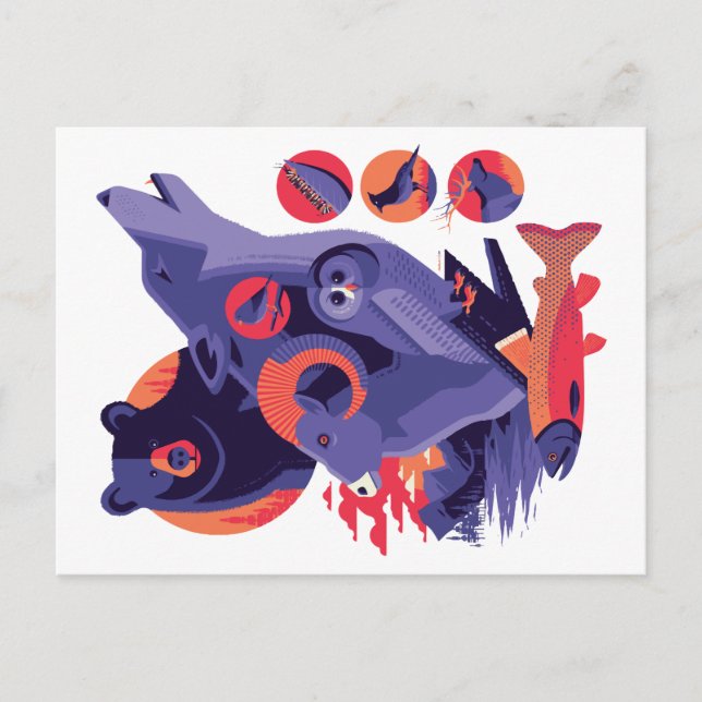 Cartão Postal Animais Selvagens V.12 (Frente)