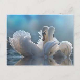 Cartão postal animal