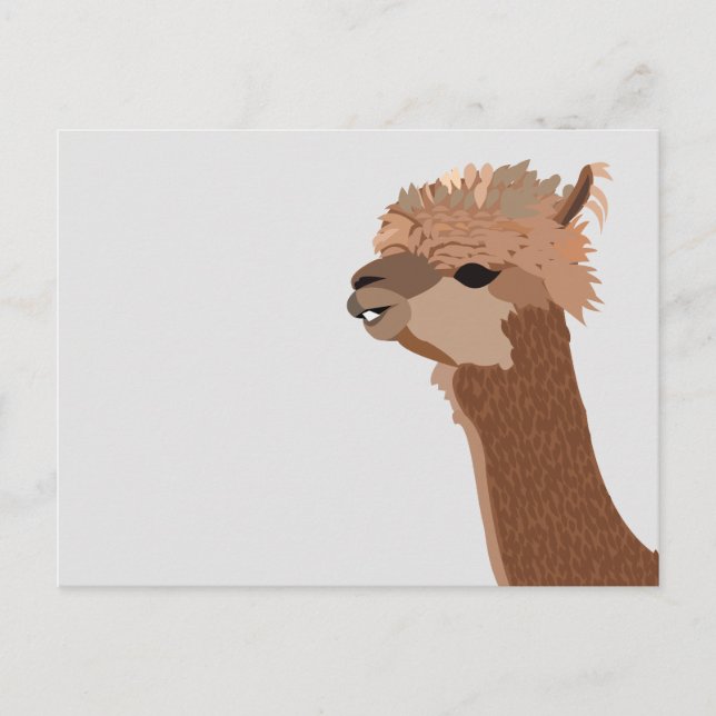 Cartão Postal Animal Alpaca Fofo (Frente)