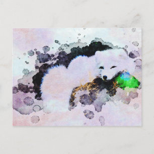 Cartão Postal *~* Animal AP18 Snow Fox White Artic Fox