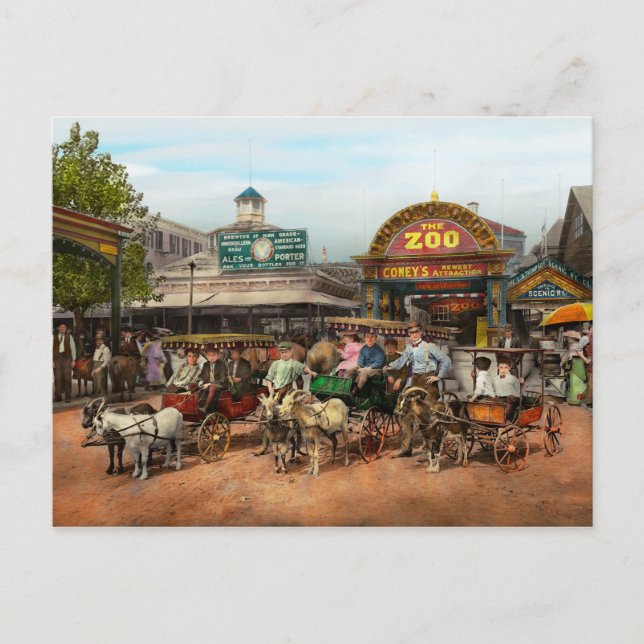 Cartão Postal Animal - Caprinos - Coney Island NY - Rides infant (Frente)