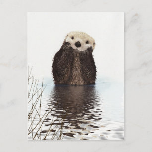 Cartão Postal Animal de boca lisa, adorável,
