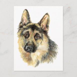 Cartão Postal Animal de Estimação Cão Pastor Alemão Aquarela