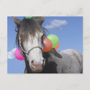 Cartão Postal Animal de festa