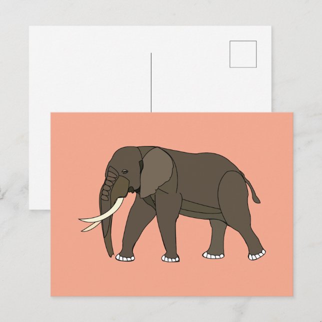 Cartão Postal Animal Elefante (Frente/Verso)