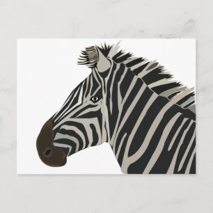 Cartão Postal Animal Zebra