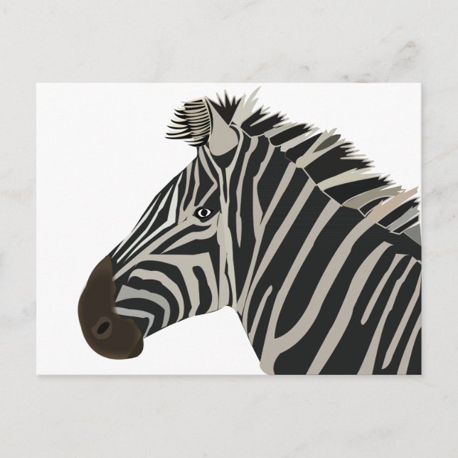 Cartão Postal Animal Zebra  (Frente)