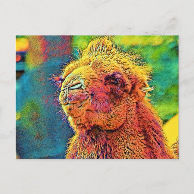 Cartão Postal AnimalColor_Camel_07 (Frente)