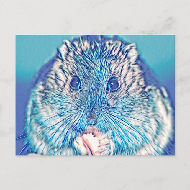 Cartão Postal AnimalMix_Hamster_003 (Frente)