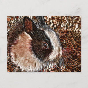 Cartão Postal AnimalMix_Rabbit_005