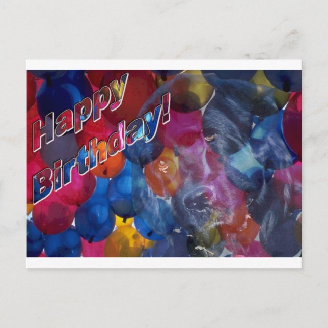 Cartão Postal aniversário (Frente)