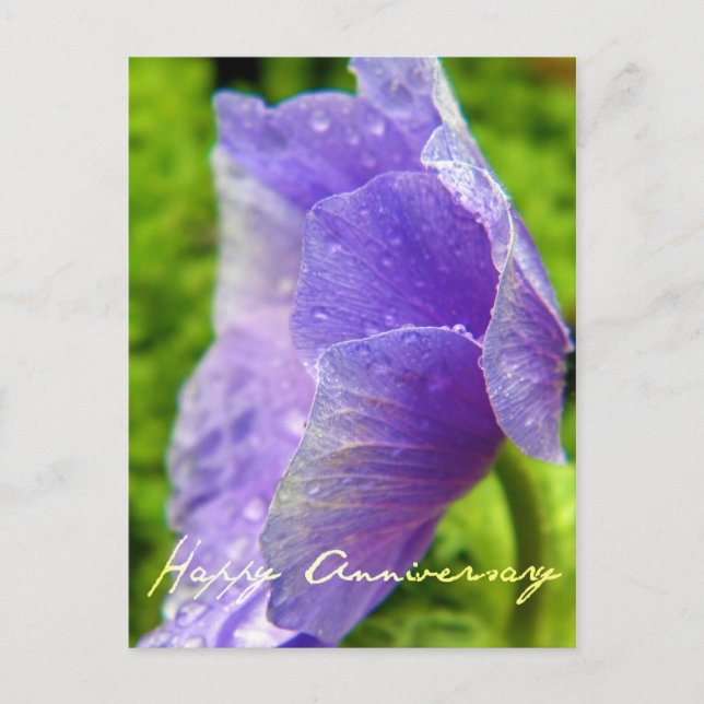 Cartão Postal Aniversário da Flor Roxo (Frente)