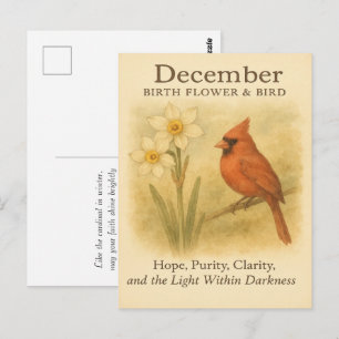 Cartão Postal Aniversário de Dezembro Versículo Bíblico Cardeal 