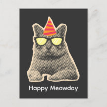 Aniversário de gato engraçado