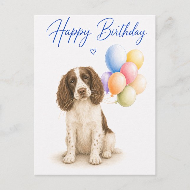 Cartão Postal Aniversário de Springer Spaniel (Frente)