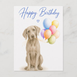 Cartão Postal Aniversário de Weimaraner